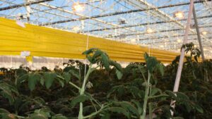 Ohio State University’s 2014 Greenhouse Management Workshop