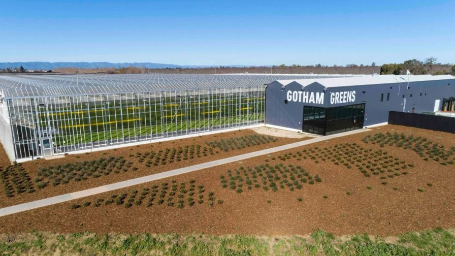 Gotham Greens
