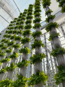 Eden Green Technology vertical farming system