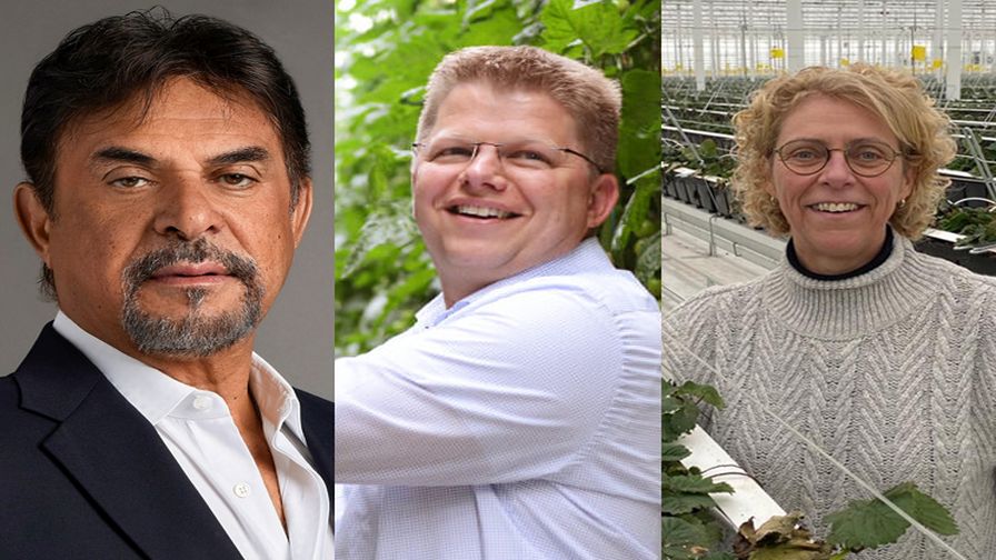 Three Headshots of CEOs In CEA