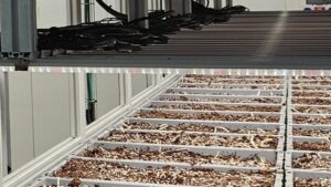 Now Up and Running: Saffron Tech’s Pilot Facility in Israel
