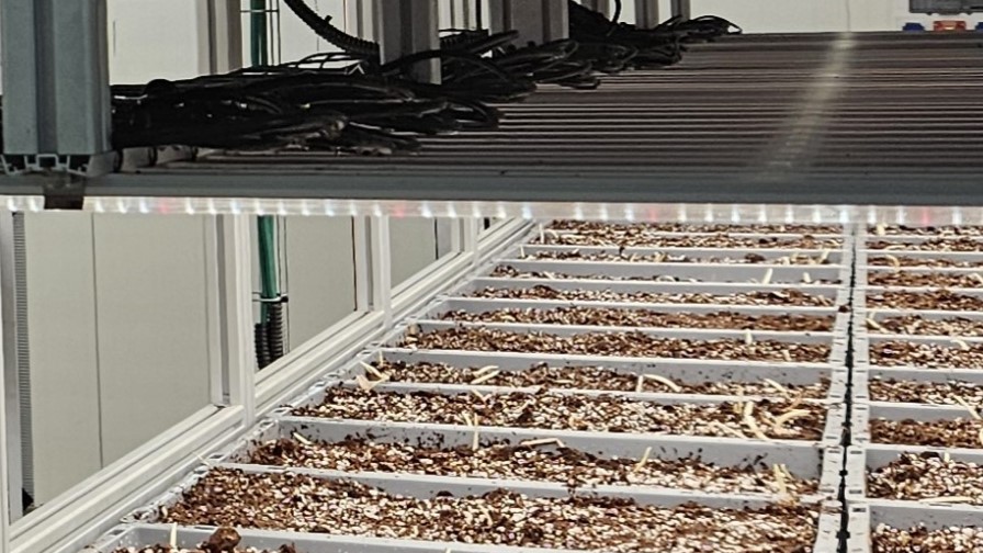 Saffron Tech's Vertical Farm