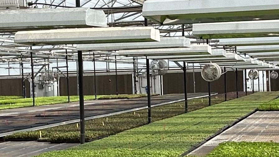Photo of a Greenhouse at the Chef's Garden