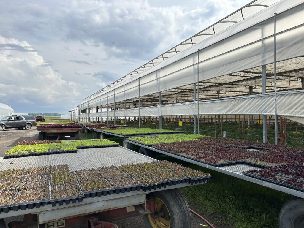 Exterior of a Greenhouse at The Chef's Garden
