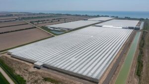 Mucci Farms Acquires Hacienda North Farms