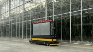 Bell Peppers Get an Ag Tech Boost at Twin Creeks Greenhouse