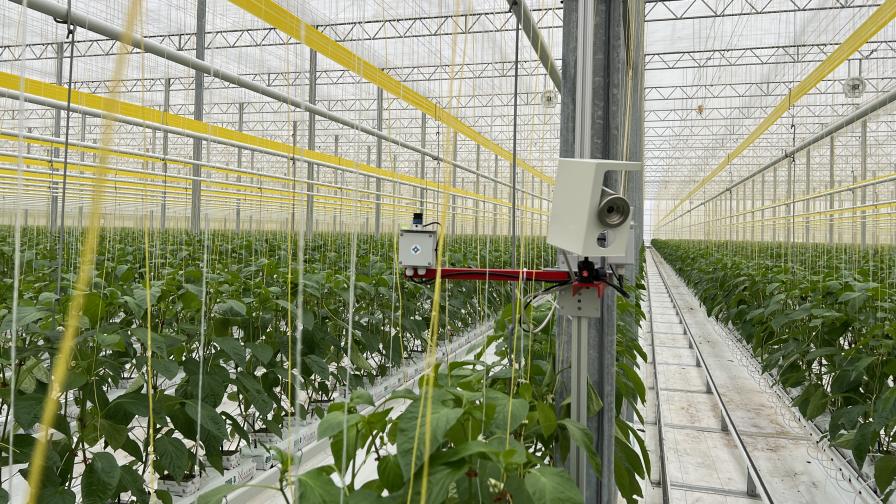 Climate control sensors at Twin Creeks Greenhouse