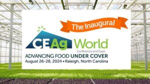CEAg World is Leading the Way in Covered Produce Production