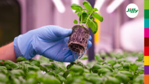 Growing Media Solutions