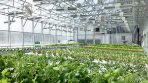 High Efficiency Greenhouses