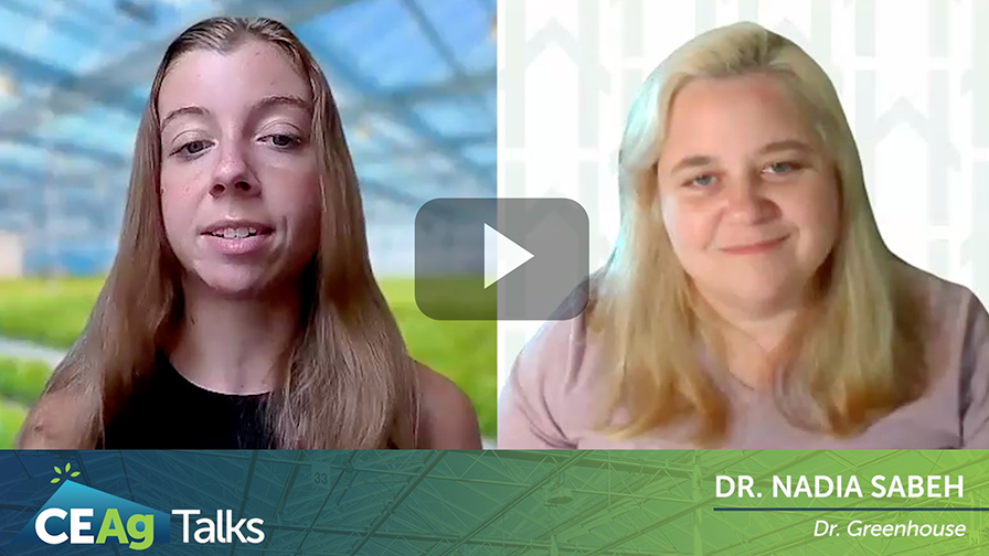 Screen Capture of Dana Shugrue and Dr. Nadia Sabeh Talking About OptimIA