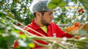 Industry Update: Greenhouse Labor and the H-2A Program