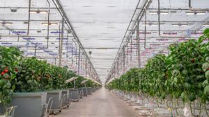 Source.ag Named 2024 Startup of the Year in AgTech Breakthrough Awards