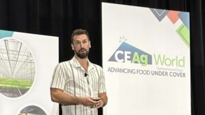 A First Look at Findings from the 2024 Global CEA Census