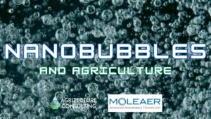 Agritecture Webinar: Nanobubbles and Their Impact on Agriculture