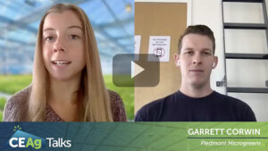 CEAg Talks Episode 29: Entering the Microgreens Market