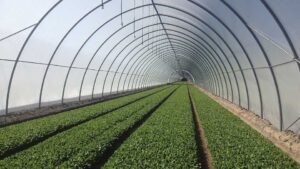 Research Brief: High Tunnel Tracking