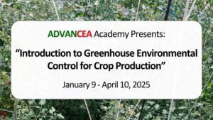Registration Open for the ADVANCEA Academy