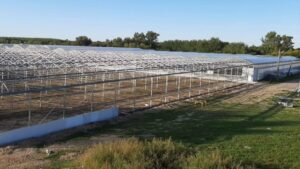 Leciel – Greenhouse Vegetables Reaches 1 Million Square Feet of Greenhouse Space