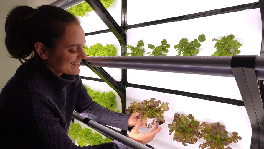 Sara Rostampour of Green City Growers