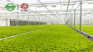 BrightFarms Expands to Texas with New Greenhouse