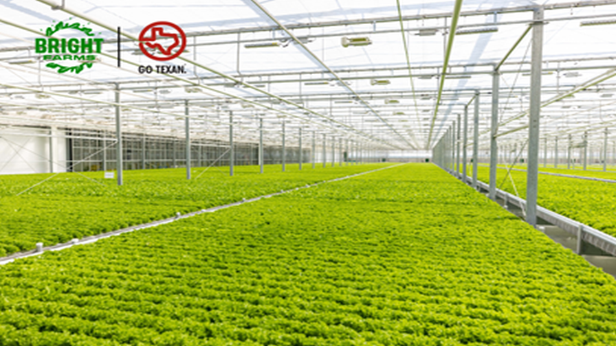 BrightFarms' new greenhouse facility in Lorena, Texas. | Photo: BrightFarms