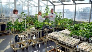 5 Resources Available to CEA Growers
