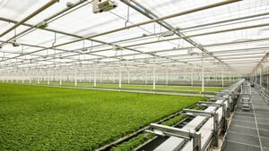 10 Headlines That Struck a Chord with CEA Growers in 2024
