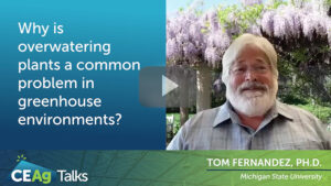 CEAg Talks Episode 44: Overwatering Plants in Greenhouse Environments