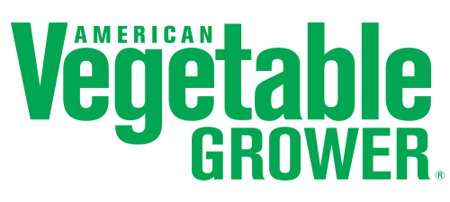 AVG-logo