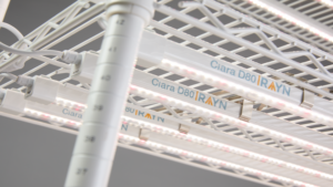 RAYN Growing Systems Launches New Grow Lights for Tissue Culture