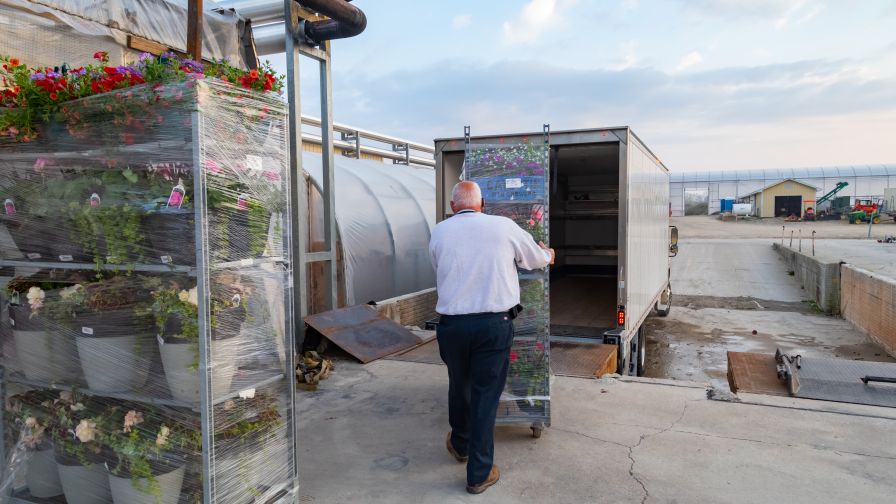 Commercial auto insurance for greenhouse delivery business | Hortica