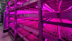AdeptAg Brings FGM’s Moving Gutter Systems to North America