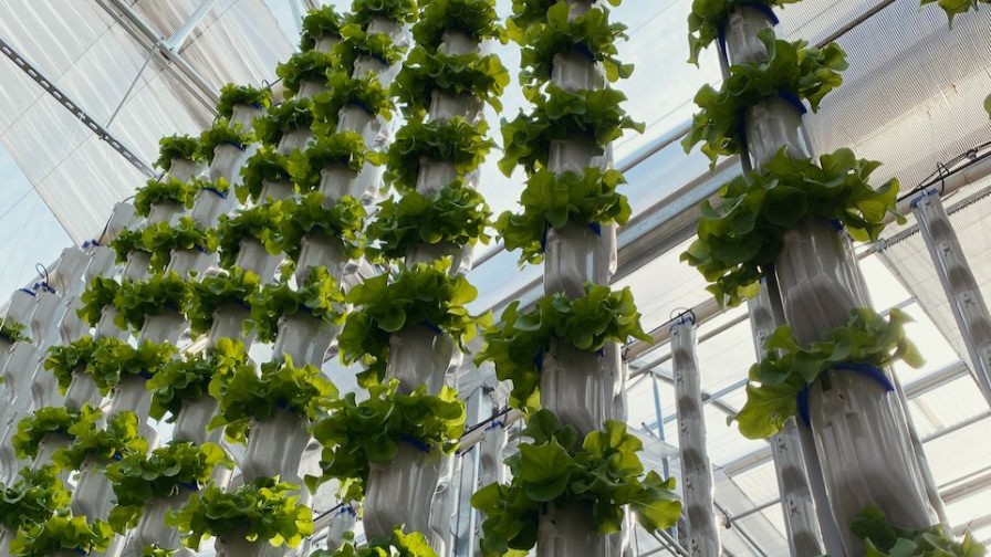 Vertical Growth Towers at Eden Green.
