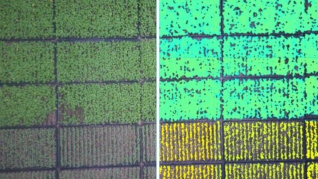 New Product: Plant-adaptive Dynamic LED Lighting System - CEAg World