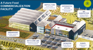 Conceptual Design of 'The Plant' at The University of California. | Photo: The University of California
