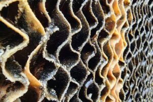 Algae build-up on cooling pads can greatly reduce pad efficiency and life span. | Olivia J. Liebing, The Ohio State University