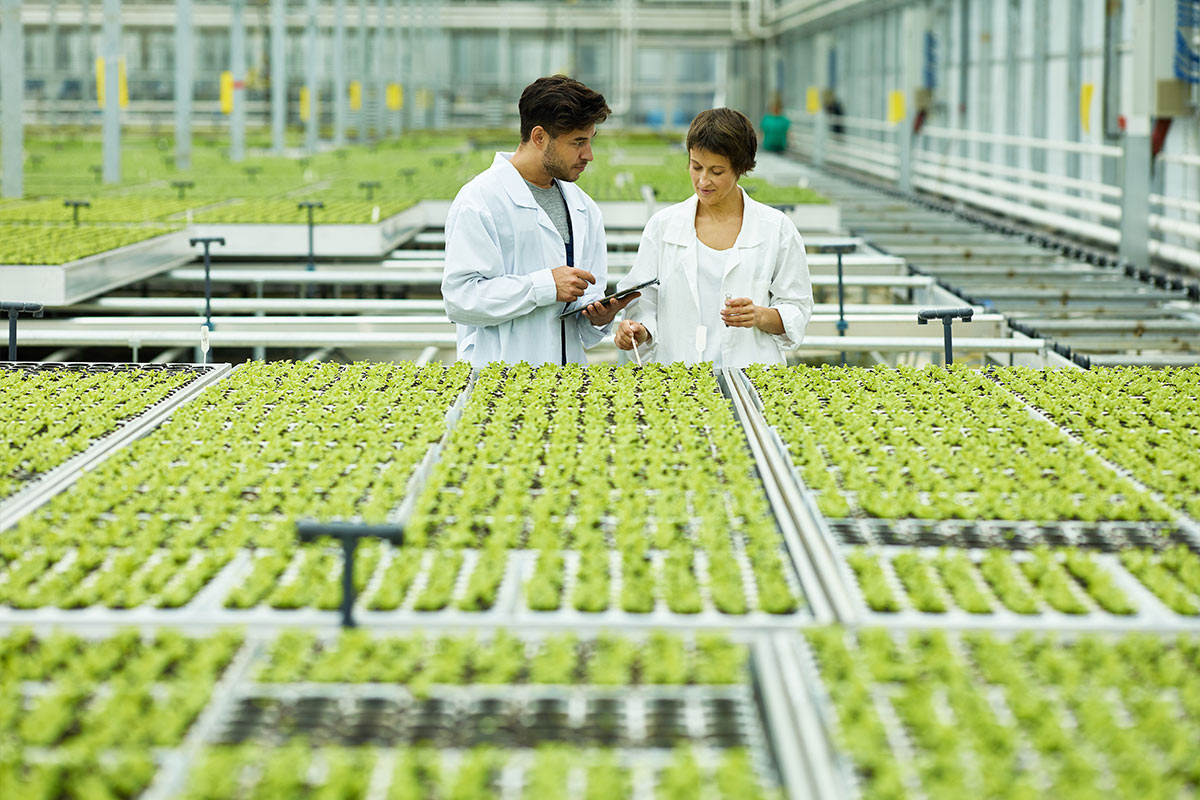 two people standing in a greenhouse