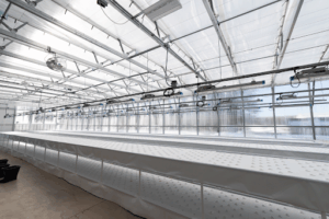 Headhouse in a greenhouse