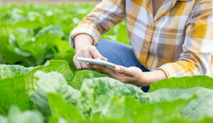 Greenhouse control system