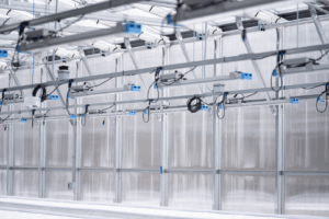 LED lights for a commercial greenhouse