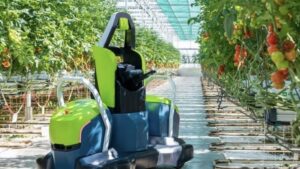 Upcoming Webinar: AI & Advanced Robotics in CEA