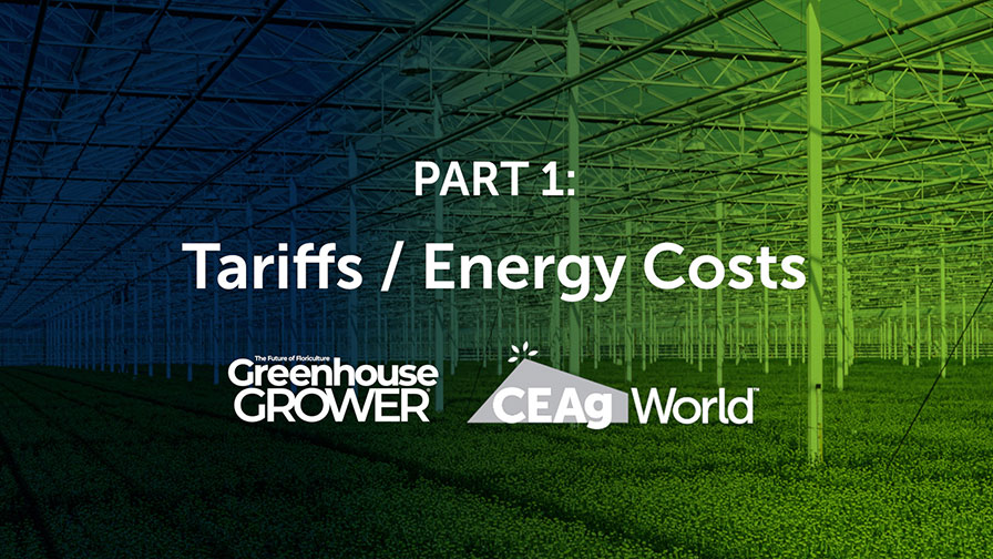Tariffs/Energy Costs Podcast
