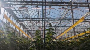 Training Programs Modern Greenhouse Growers Can Trust
