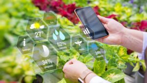 The Future of Data Visualization in Greenhouses