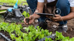 Before You Automate: Assessing Why, How, and When