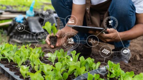 How to Better Protect Your Greenhouse Data