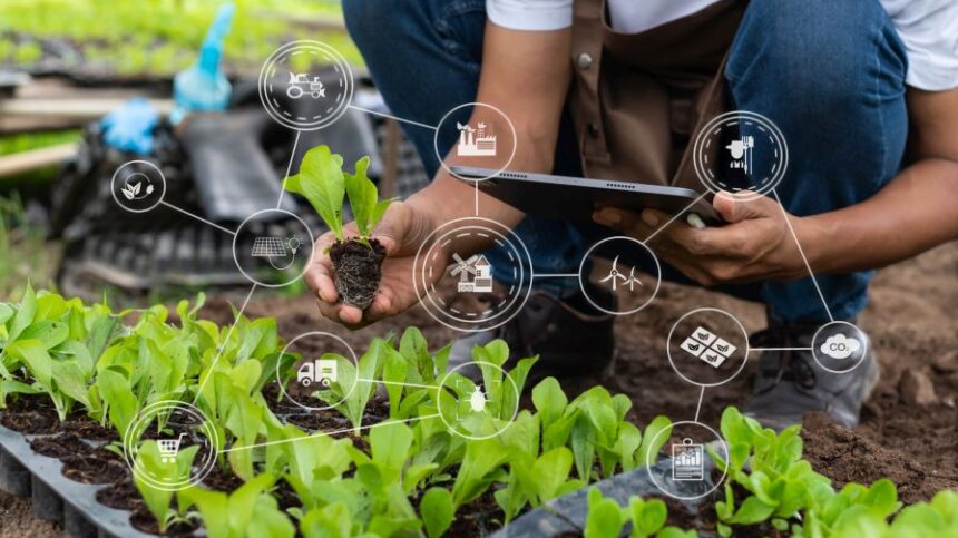 How to Better Protect Your Greenhouse Data