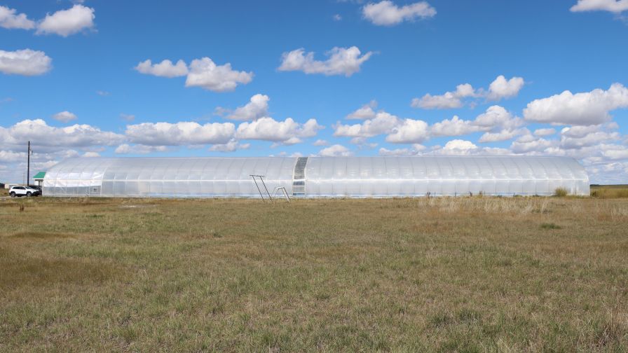 Rimaco Greens' facility
