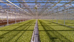 Little Leaf Farms Named to List of the World’s Most Innovative Companies of 2026